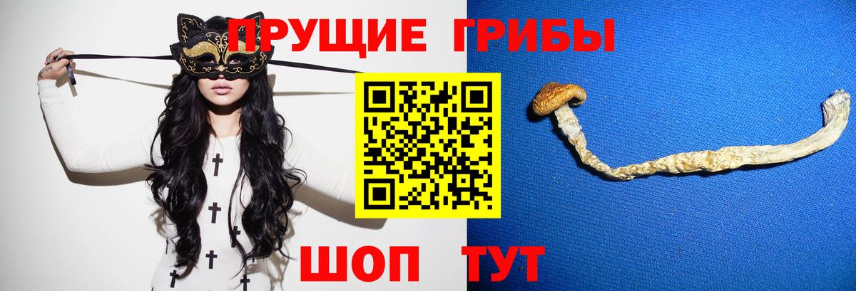 Шарыпово  Псилоцибиновые грибы Magic Shrooms  Вход с VPN 